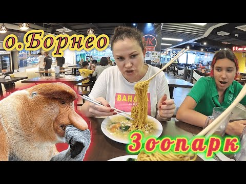 Видео: Малайзия!!! о.Борнео!!! Зоопарк с НЕОБЫЧНЫМИ зверюшками!!! СТОЯЧАЯ лапша, МЫ обалдели!!!