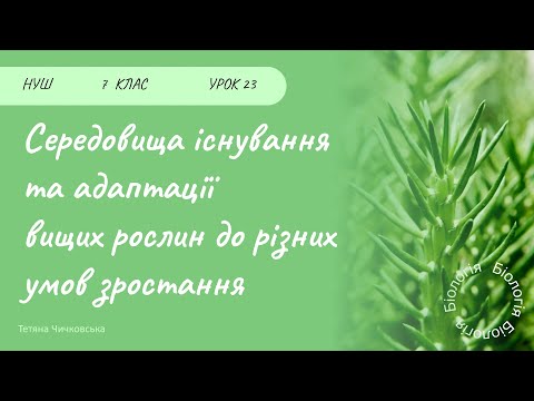 Видео: Середовища існування та адаптації вищих рослин до різних умов зростання