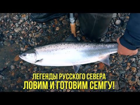 Видео: Поимка семги на р. Титовка / Приготовление ухи // ЛЕГЕНДЫ РУССКОГО СЕВЕРА // 2