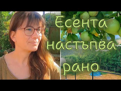 Видео: Едно лежерно видео в подранилата есен.