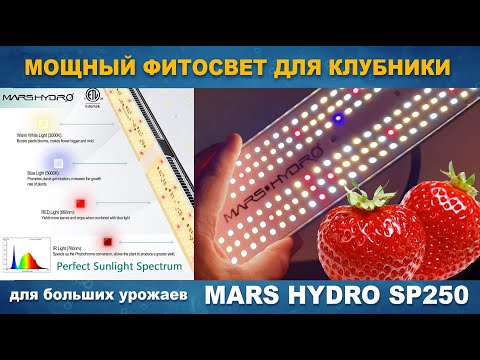 Видео: ФИТОСВЕТ ДЛЯ КЛУБНИКИ МОЩНЫЙ MARS HYDRO SP250 - Лучший спектр и состав светодиодов.