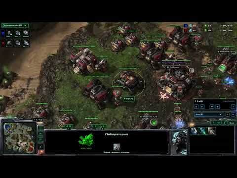 Видео: SC2 Сырный Медведь