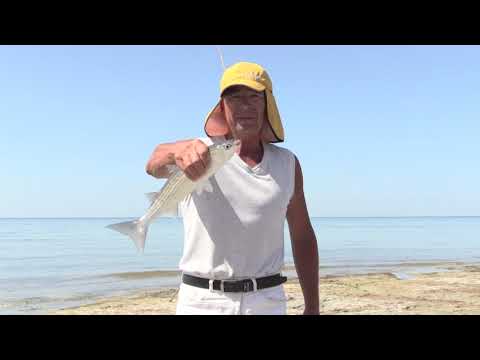 Видео: Последний день лета 2020