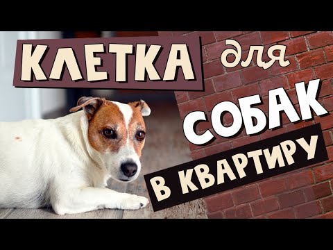 Видео: КЛЕТКА для СОБАК в квартире: ПЛЮСЫ и МИНУСЫ содержания собаки в квартирной клетке