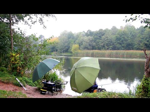 Видео: ЛОВЛЯ ПОДЛЕЩИКА НА ФИДЕР 2021! Рыбалка на ФИДЕР Осенью. ФИДЕРНАЯ ЛОВЛЯ на РЕКЕ!