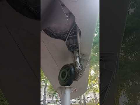 Видео: Новосибирск. Дзержинский район. Сад Дзержинского. 05.06.2023