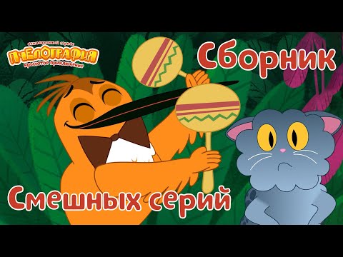 Видео: Пчелография ⭐ Самые смешные серии ⭐ Сборник мультфильмов ⭐Мультики для детей