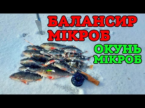 Видео: ✅ ОКУНЬ НА БАЛАНСИР МІКРОБ ✅