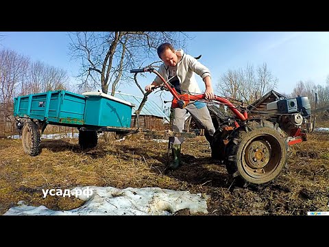 Видео: Мы сажали и выращивали эти маточники годами, а он уничтожил за полчаса