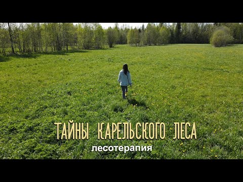 Видео: ЛЕСОТЕРАПИЯ | Тайны карельского леса