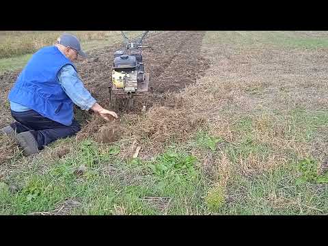 Видео: Самодельная фреза по целине