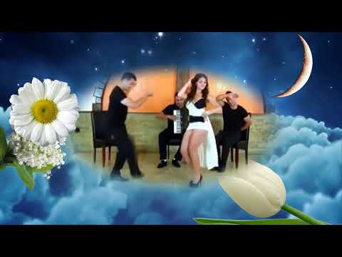 Видео: ТЮЛЬПАН НА ЛАНДЫШ НЕ ПОХОЖ  песня гр ЭКСПРЕСС  кавер Г Погорельская ===вар 2