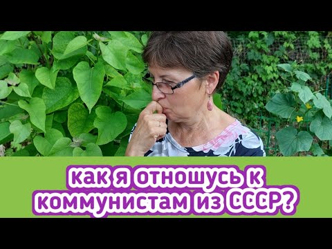 Видео: Меня спросили как я отношусь к коммунистам?  меня  всегда удивляла их способность переобуваться!