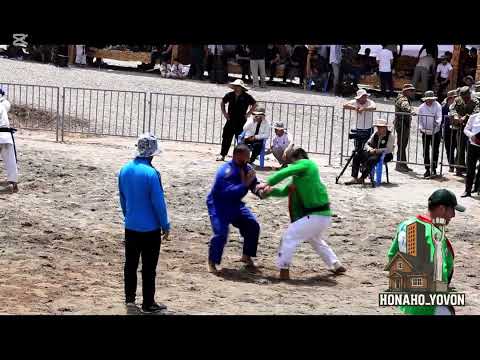 Видео: Гуштини дангара факат заданшон 2025