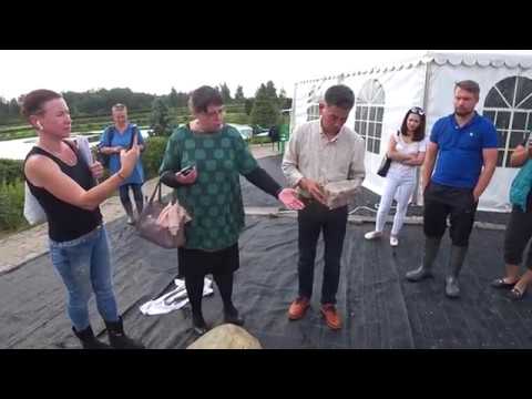 Видео: Работа с камнями в японском саду. Мастер ниваси Накатакэ сан (Киото, Япония) 21 августа 2019 года