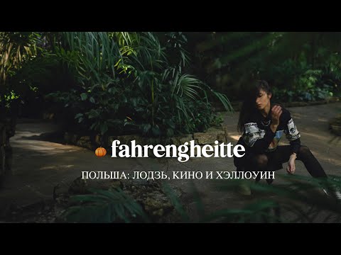 Видео: Лодзь, Кино и Дэвид Линч (Осенний выпуск)