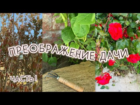 Видео: ПРЕОБРАЖАЕМ ДАЧУ ✨ЧАСТЬ 1 🍂ОЧИСТИЛИ ПОЧВУ ПОД РОЗАМИ ОТ СОРНЯКОВ🌾