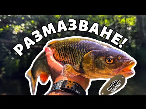 Видео: НЕВЕРОЯТНО ОТКРИВАНЕ НА КЕФАЛСКИЯ СЕЗОН! Риболов на кефали на клатушки.