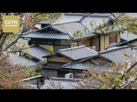 Видео: Чай - история одного листа Серия 3 Заваривание чая Часть 2 [Age0+]