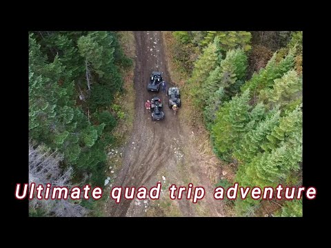 Видео: Путешествие через Боттом-Брук на западе Ньюфаундленда