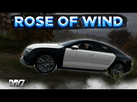Видео: DAYZ 1.24 | ROSE OF WIND PVE | ИДЕМ В НОВЫЙ ДАНЖ | БОТЫ, МУТАНТЫ #4