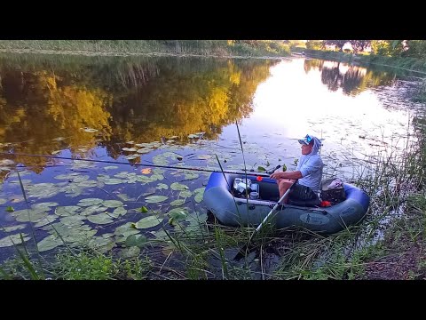 Видео: ВОДИ ПОКОЛІНА А ЛАПТІ ПРУТЬ ОДИН ЗА ОДНИМ. Рибалка на боковий кивок