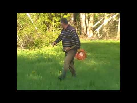 Видео: Отработка челнока. Часть 2  Эпаньоль  бретон