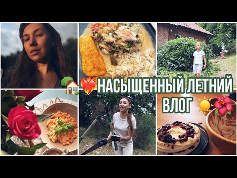 Видео: ❤️‍🔥🤩НАСЫЩЕННЫЙ ЛЕТНИЙ ВЛОГ:РЕЦЕПТ МЕРЕНГОВОГО ТОРТИКА 🧁РЫБА В КОКОСЕ 🥥УБОРКА НА УЧАСТКЕ🏡