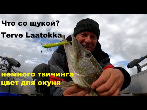 Видео: Что со щукой? Немного твичинга.Терве Лаатокка. Цвет на окуня.