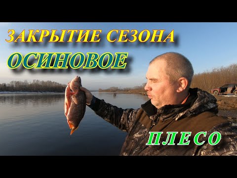Видео: ЗАКРЫТИЕ СЕЗОНА ОСИНОВОЕ ПЛЕСО