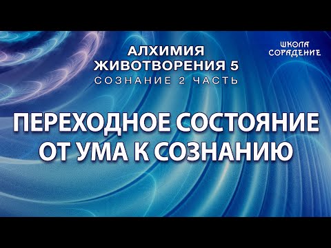 Видео: Переходное состояние от ума к сознанию #Гарат #АЖ5  #Сознание #ЖивыеСеминары #школаСорадение