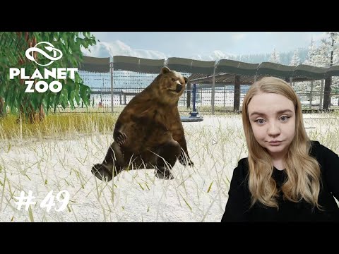 Видео: Купили гризли ➤ Planet Zoo #49