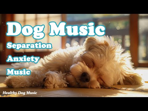 Видео: Музыка для собак: 🎵🐶 Нежные песни для улучшения сна и лечения депрессии!