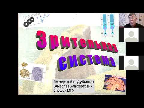 Видео: Вячеслав Дубынин, глаз и сетчатка ФФМ 2020 лекция 1 глаз