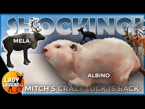 Видео: Бриллианты и редкие камни были ВЕЗДЕ в SHOCKING HUNT с МИТЧОМ!!!