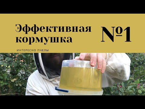 Видео: ЭФФЕКТИВНАЯ КОРМУШКА ДЛЯ ПЧЕЛ / ОСЕННЯЯ ПОДКОРМКА ПЧЕЛ