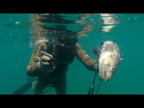Видео: Подводная охота #34  Мыс Токмак. Морской Судак