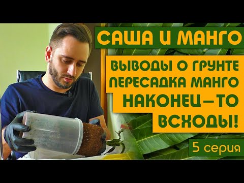 Видео: Почему начинаю менять грунт? Первые всходы за 2 месяца! 5 серия.