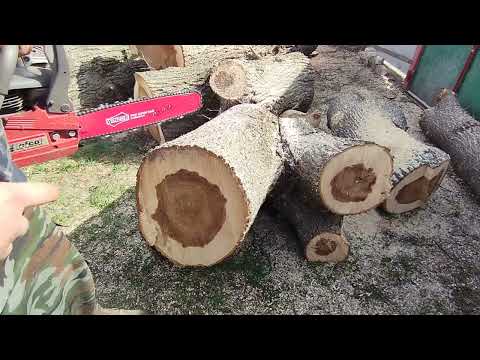 Видео: Бензопила Efco mth 560 пиляє Берест