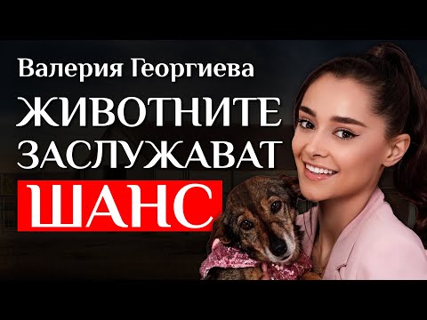 Видео: Истината за бездомните животни в България - разговор с Валерия Георгиева