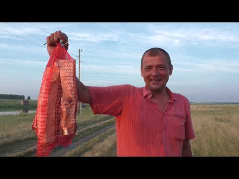 Видео: Турнир по фидеру — Отчетный фильм #OmskFish. Рыбалка в Омске на фидер, соревнования