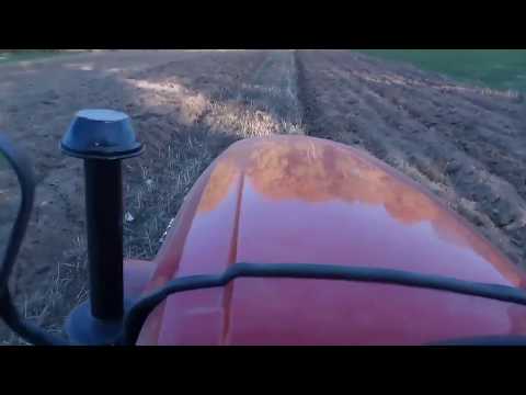 Видео: Вспашка минитрактор Синтай 244 ХТ и плуг 2*20