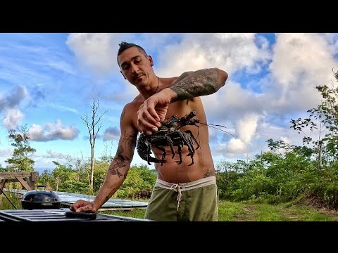 Видео: Первое ночное погружение в этом сезоне за лобстерами! 🦞 -поймай и приготовь-