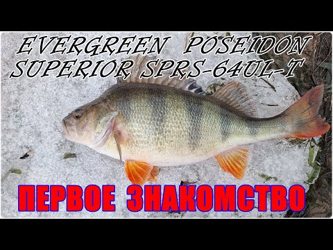 Видео: Evergreen Poseidon Superior SPRS-64UL-T. Первое знакомство