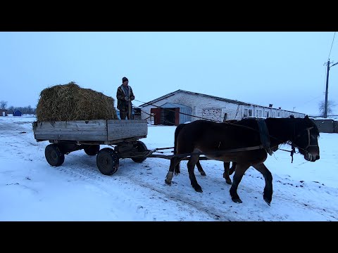 Видео: Необычная история о том, как сварщик на Овцеферму работать пошел!