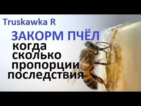 Видео: #Пчёлы. Как и когда правильно закормить пчёл на пасеке. Какие нюансы, ошибки и последствия