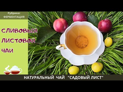 Видео: КАК СДЕЛАТЬ ЧАЙ ИЗ ЛИСТЬЕВ СЛИВЫ. Сливовый чай