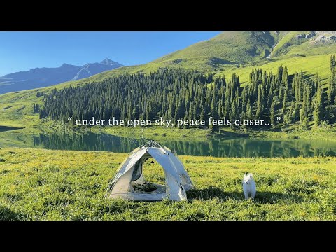Видео: под открытым небом мир кажется ближе.../плейлист для тихих часов/