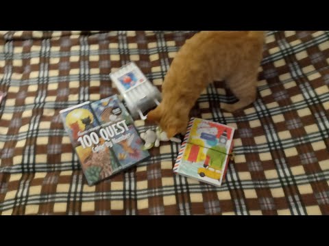 Видео: Второй осенний #хоббивлог раскраски, дневник, мой кот Мир Марисы 💖