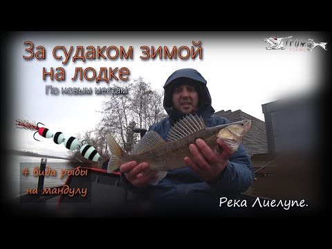 Видео: За судаком зимой на лодке. 4 вида рыбы на мандулу!!!